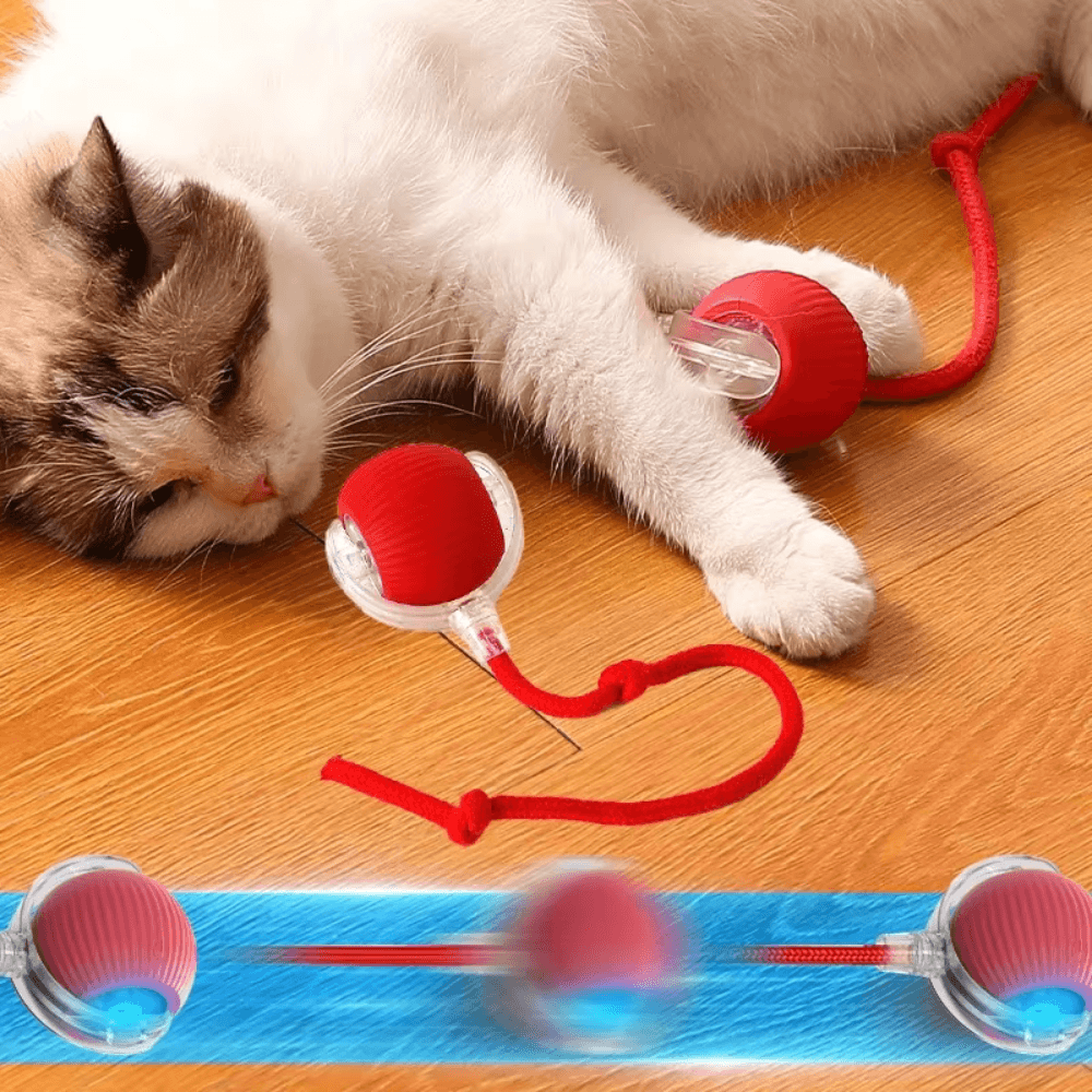 ODALIT™  Self-Moving Cat Toy Ball – 360° Auto-Rolling, Smart Interactive Pet Ball for Indoor Cats & Small Dogs – Fast & Engaging Play